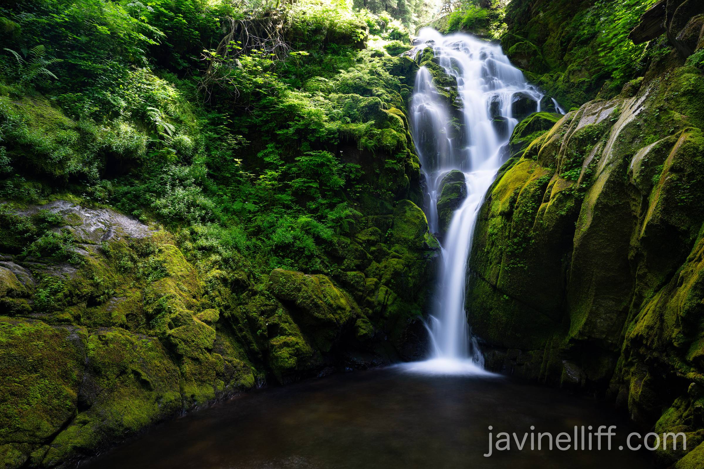 Lovely Waterfall A long exposure of a waterfall in a temperate rainforest.