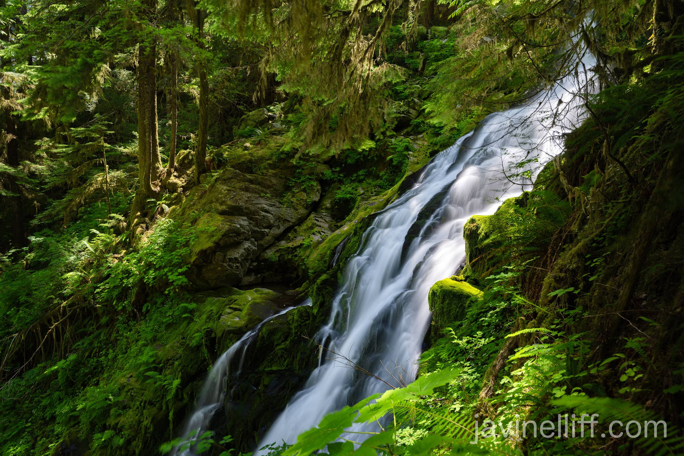 Waterfall Long Exposure A long exposure of a waterfall in a temperate rainforest.
