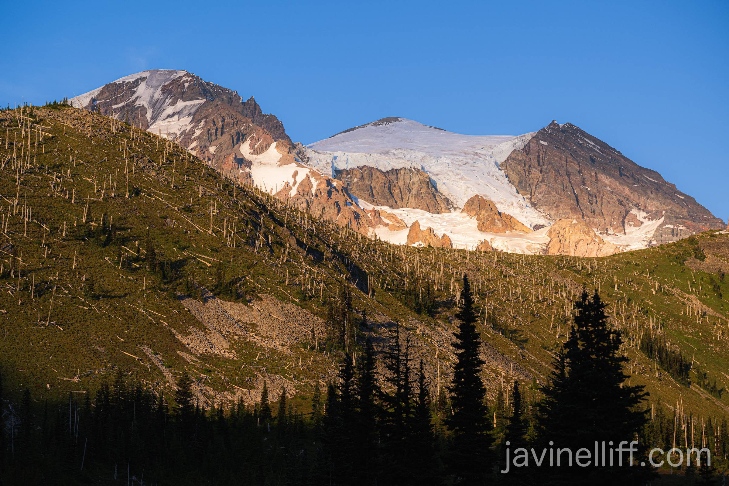 Mount Rainier Sunset Sunset on Mount Rainier above an old burn.
