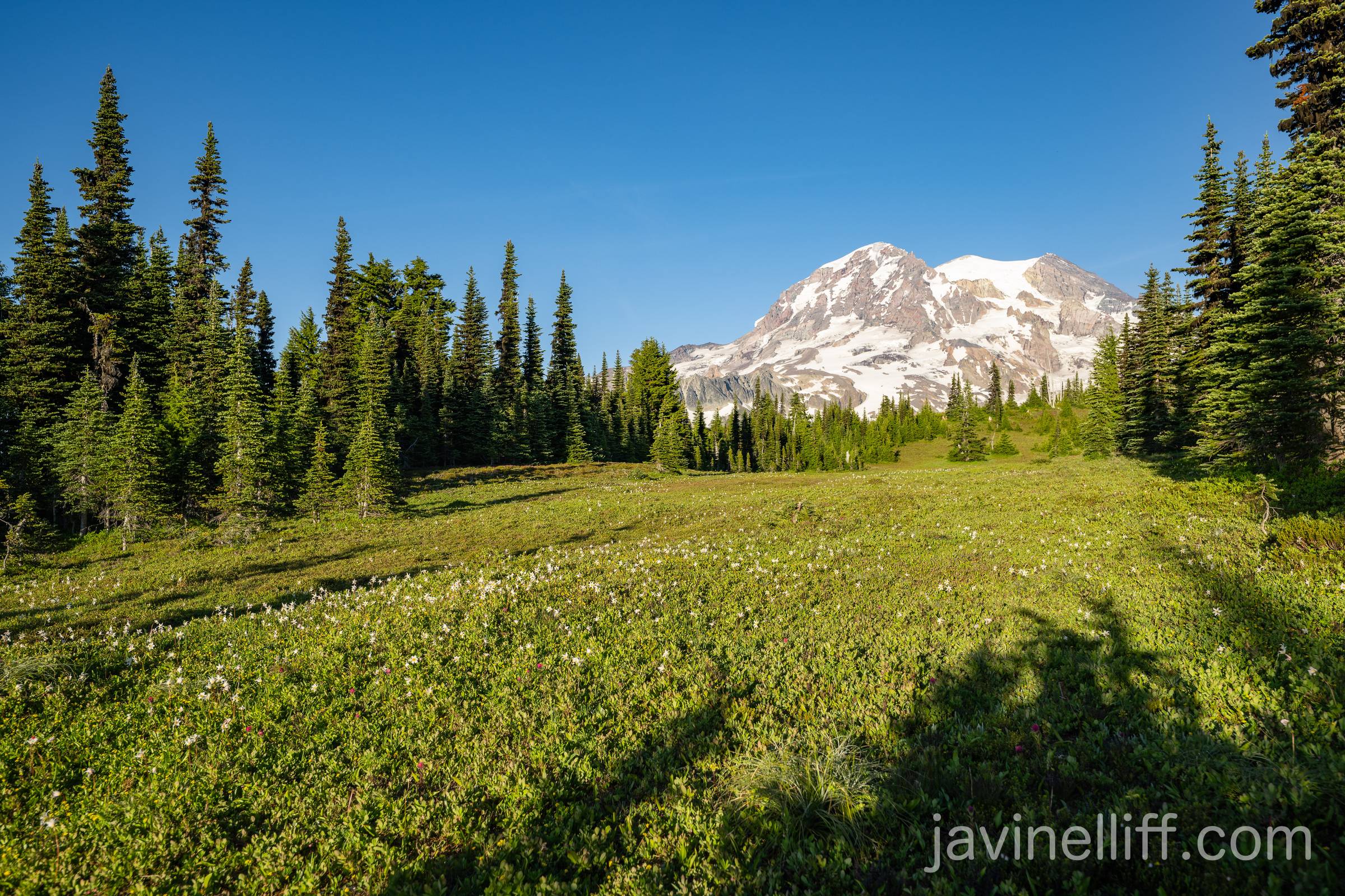Rainier Mount Rainier in the evening on a clear day.