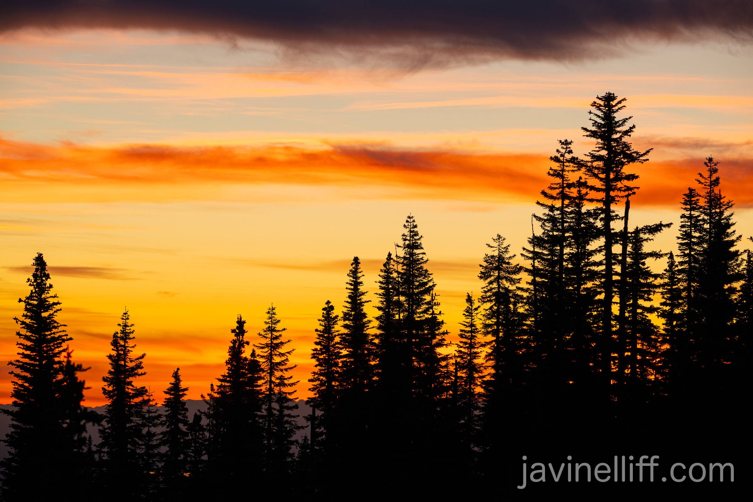 Sunset Layers A colorful sky behind the silhouette of subalpine trees.