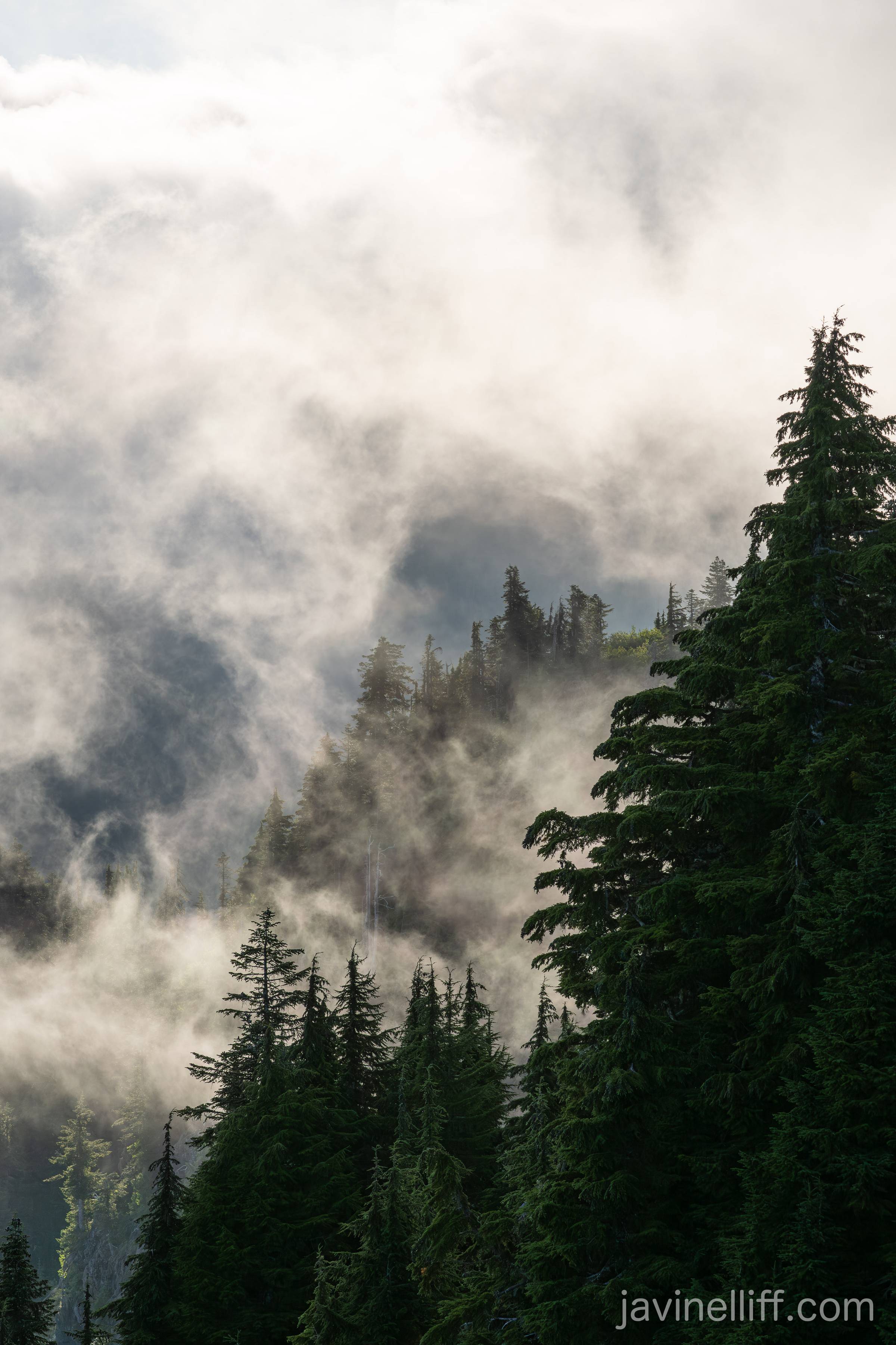 Cloudy Forest Clouds dance between forested ridges.