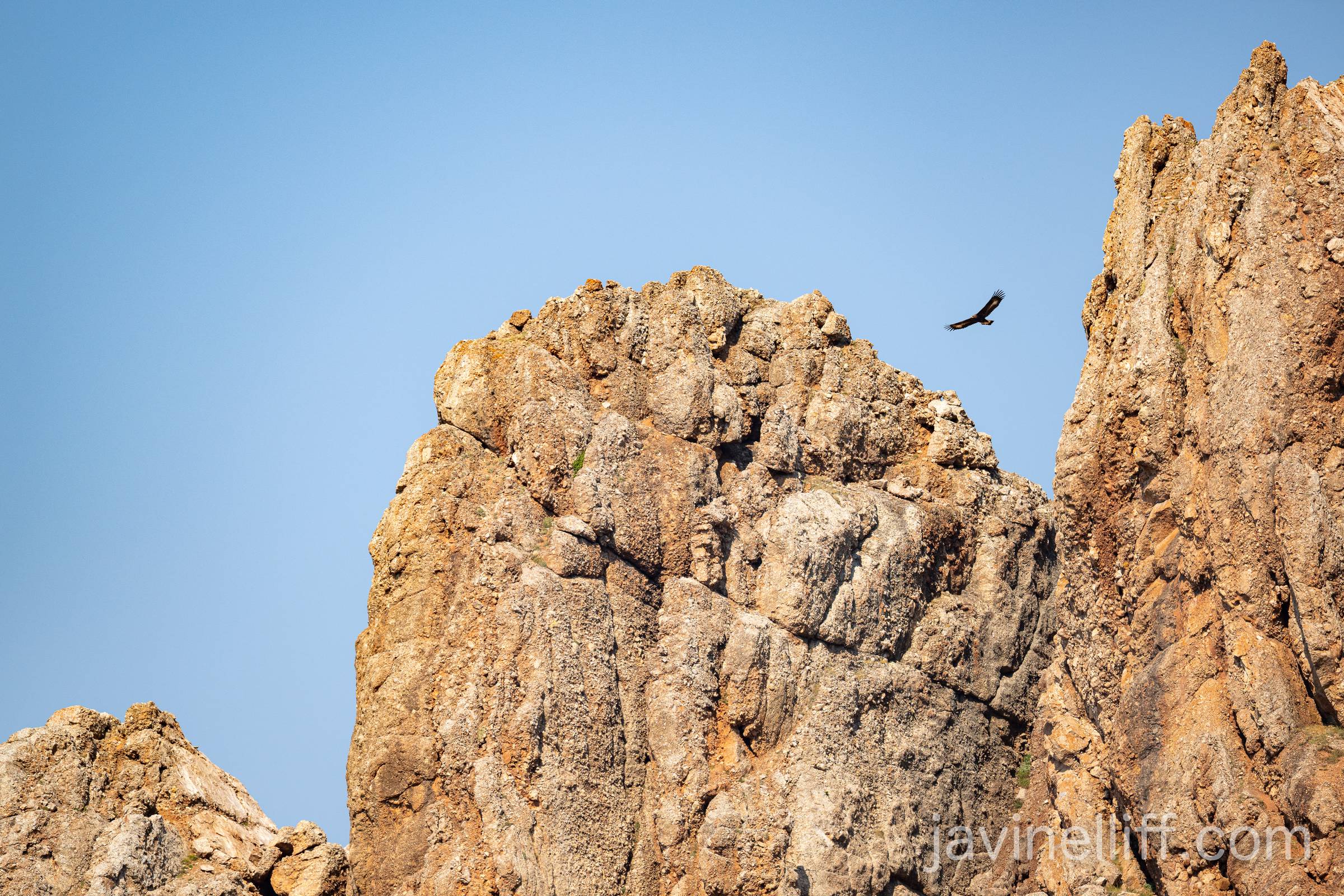 Golden Eagle A golden eagle flies above rocky cliffs.